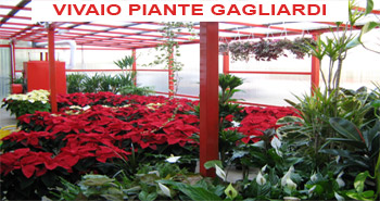 vivaio piante gagliardi
